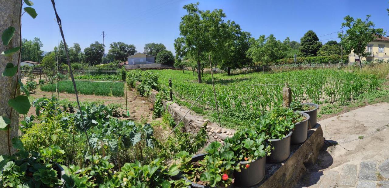 Quinta Do Gestal - Soutelo Lejlighed Vila Verde  Eksteriør billede